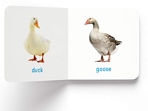 My First Book Of Farm Animals & Pets For Kids | Age 0–3 Years | Board Book | Early Learning | Farm Animals | Pets | Bright Pictures | Vocabulary Building | Toddlers | Preschoolers | Latest Edition