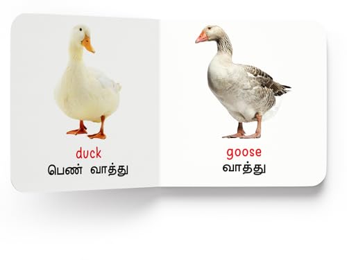 My First Book of Birds - Paravaigal : My First English Tamil Board Book