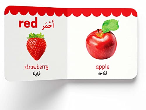 My First English-Arabic Learning Library: Bilingual Boxset of 10 Picture Board Books for Kids - Covers Basic Concepts and Everyday Topics