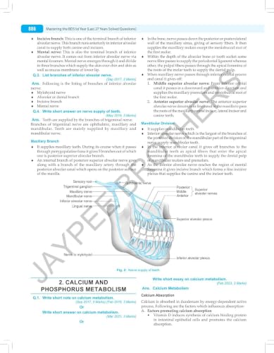 Mastering the BDS 1st Year, 12/E: Last 20 Years Solved Question Papers for BDS 1st Year Students | Subject-wise MCQs, Fill in the Blanks, Additional Matter and Image-Based Questions for NEET MDS