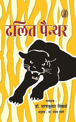 Dalit Painther book cover
