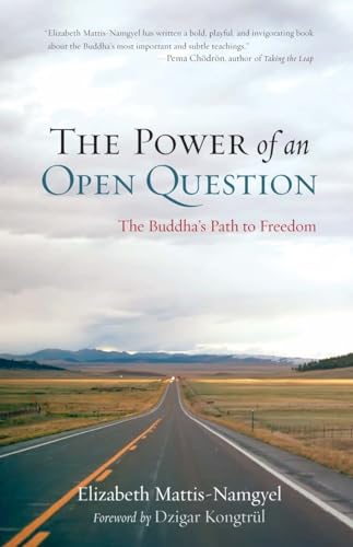 The Power of an Open Question book cover