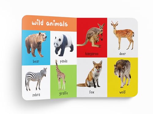 My First 100 Animals And Birds For Kids | Ages 0–5 Years | Board Book | Screen Free & Visual Learning | Wild & Farm Animals | Pets | Birds | Bright Picture Book | Vocabulary Building | Latest Edition