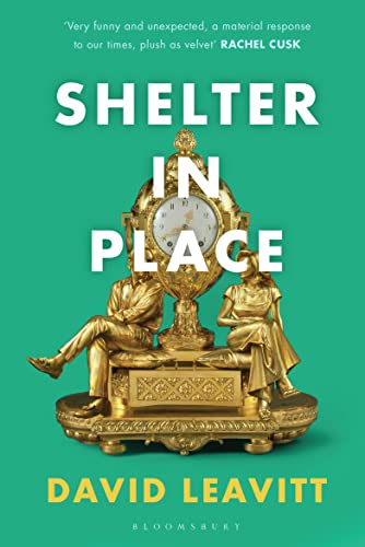 Shelter in Place book cover