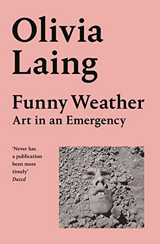 Funny Weather book cover