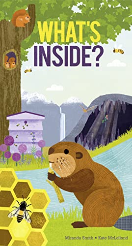 Whats Inside? (Pop Up) book cover