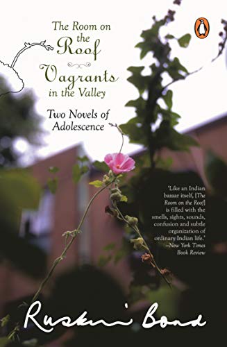 Room on the Roof: Vagrants in the Valley book cover