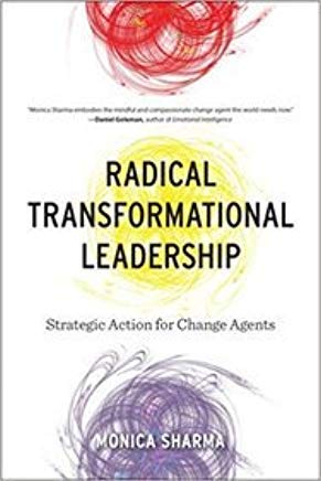Radical Transformational Leadership book cover