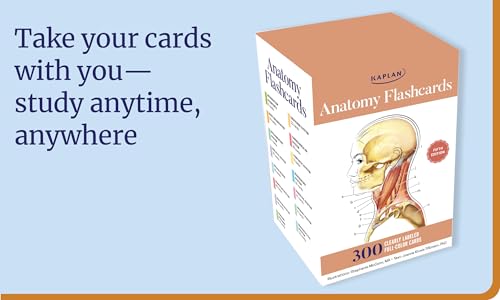 Kaplan Anatomy Flashcards: 300 Clearly Labeled Full-Color Cards