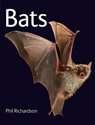 Bats book cover