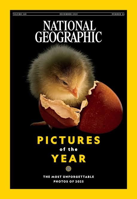 National Geographic Magazine|December 2025, Volume 248, Number 6|Pictures Of The Year | The Most Unforgettable Photos Of 2025