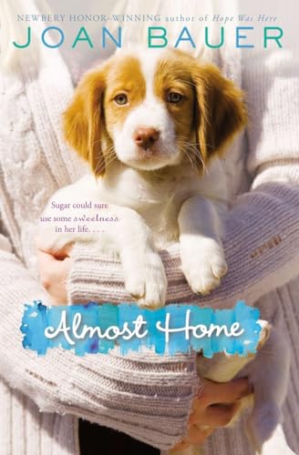 Almost Home book cover