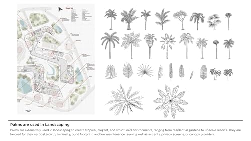 Palms for India: Palm Trees Guide for Home & Landscape