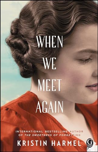 When We Meet Again book cover