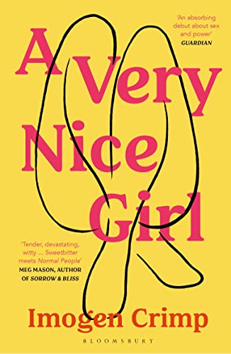 A Very Nice Girl book cover