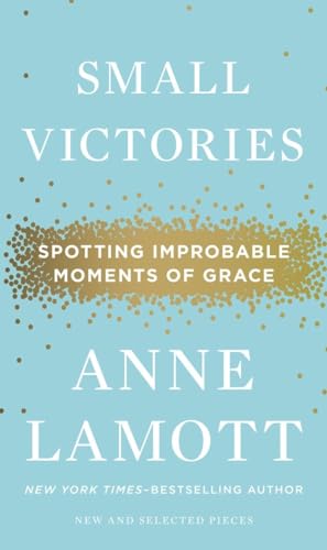 Small Victories: Spotting Improbable Moments of Grace book cover