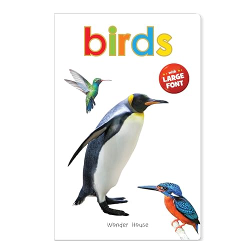 Birds - Early Learning Board Book With Large Font : Big Board Books Series book cover