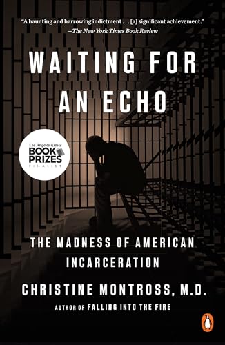 Waiting for an Echo: The Madness of American Incarceration book cover