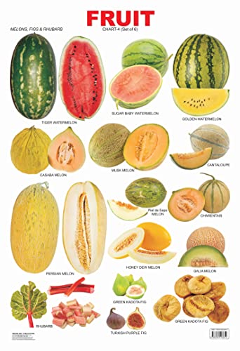 Fruit Chart - 4 book cover