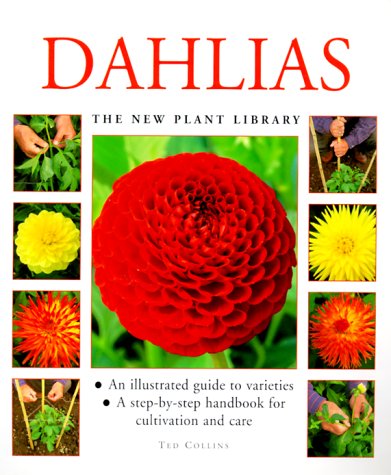 Dahlias (New Plant Library)