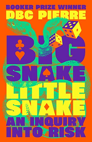 Big Snake Little Snake: An Inquiry into Risk book cover