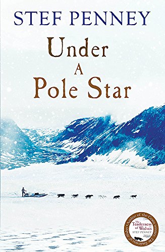 Under A Pole Star book cover