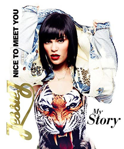 Nice to Meet You book cover