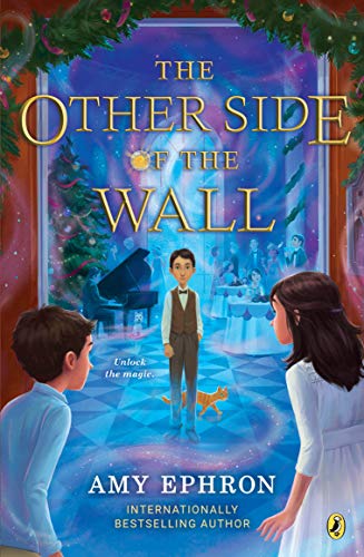 The Other Side Of The Wall book cover