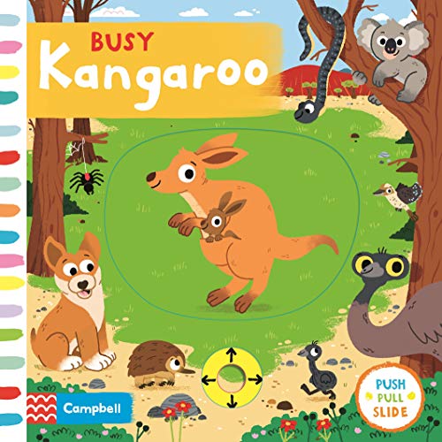 Busy Kangaroo book cover