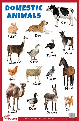 Domestic Animals book cover