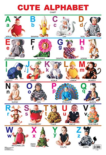 Cute Alphabet book cover