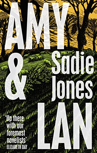 Amy and Lan book cover