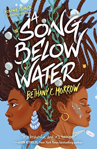 Song Below Water: A Novel book cover