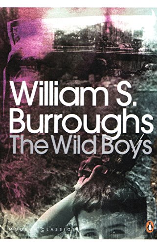 The Wild Boys book cover