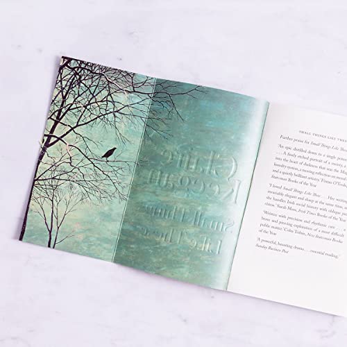 Small Things Like These: The Irish Times readers' choice for best Irish book of the century