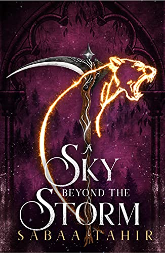 A Sky Beyond the Storm book cover