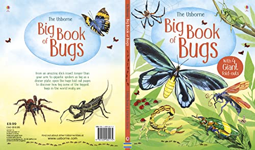 BIG BOOK OF BUGS book cover