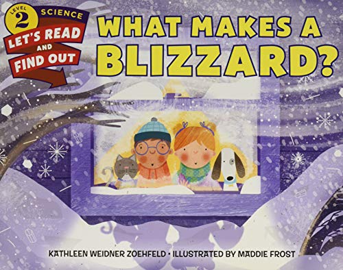 WHAT MAKES A BLIZZARD? book cover