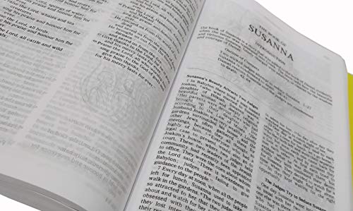 GOOD NEWS BIBLE TODAY'S ENGLISH VERSION CATHOLIC Regular Edition with Deuterocanonical Books/ Apocrypha Illustrated Old and New Testament