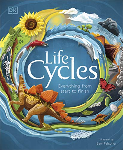 Life Cycles: Everything From Start To Finish book cover