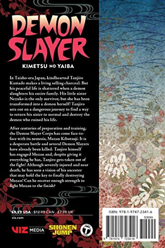 Demonslayer : Kimetsu No Yaiba, Vol. 22