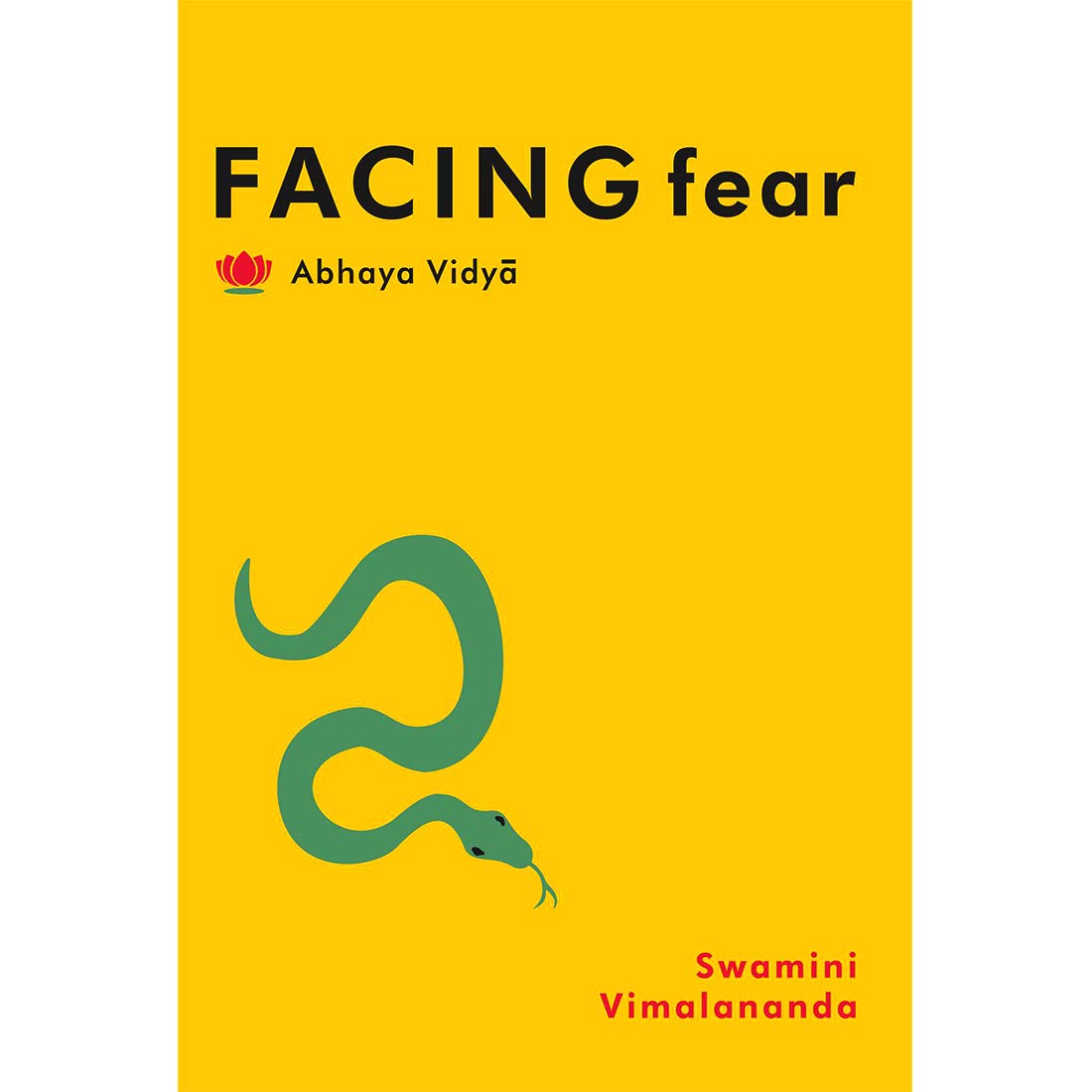 Facing Fear book cover