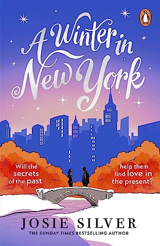 A Winter in New York book cover