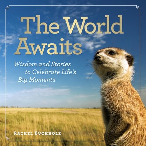 The World Awaits book cover