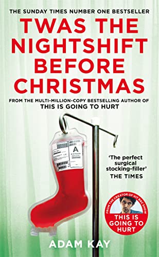 Twas The Nightshift Before Christmas book cover