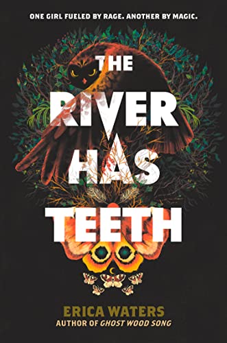 The River Has Teeth book cover