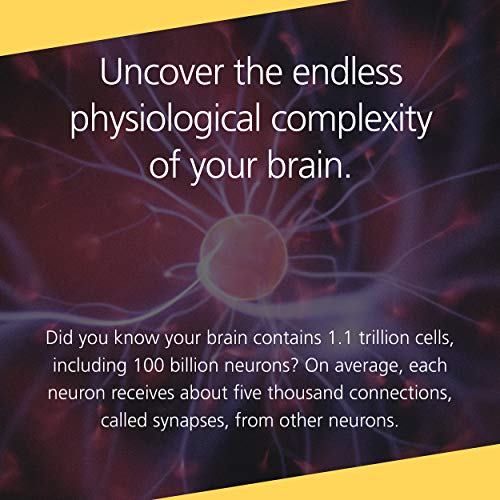 Buddha's Brain: The Practical Neuroscience of Happiness, Love & Wisdom