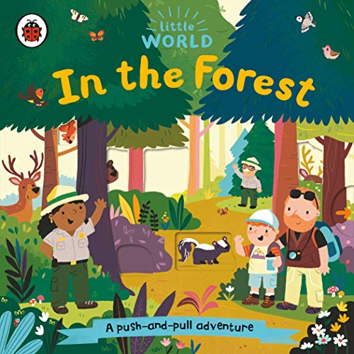 Little World: In the Forest book cover