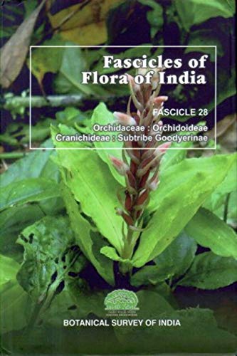 Fascicles of Flora of India vol.-28 Orchidaceae: Orchideae Cranichideae: Subtribe Goodyearinar book cover