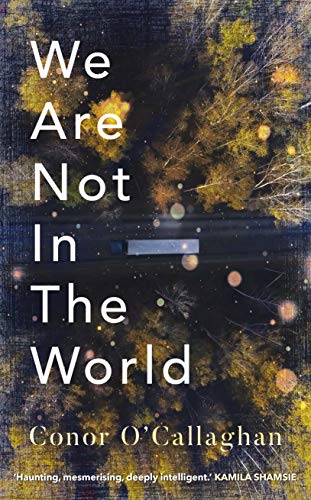 We Are Not in the World book cover